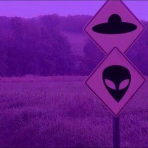 Meet your Posher, Ellie